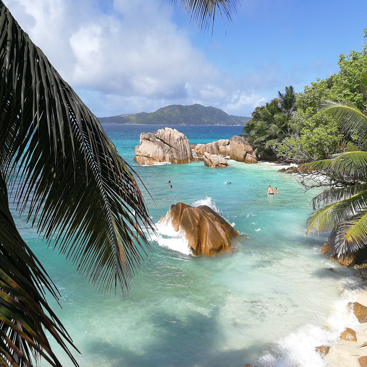Non solo spiagge: alla scoperta delle Seychelles più selvagge