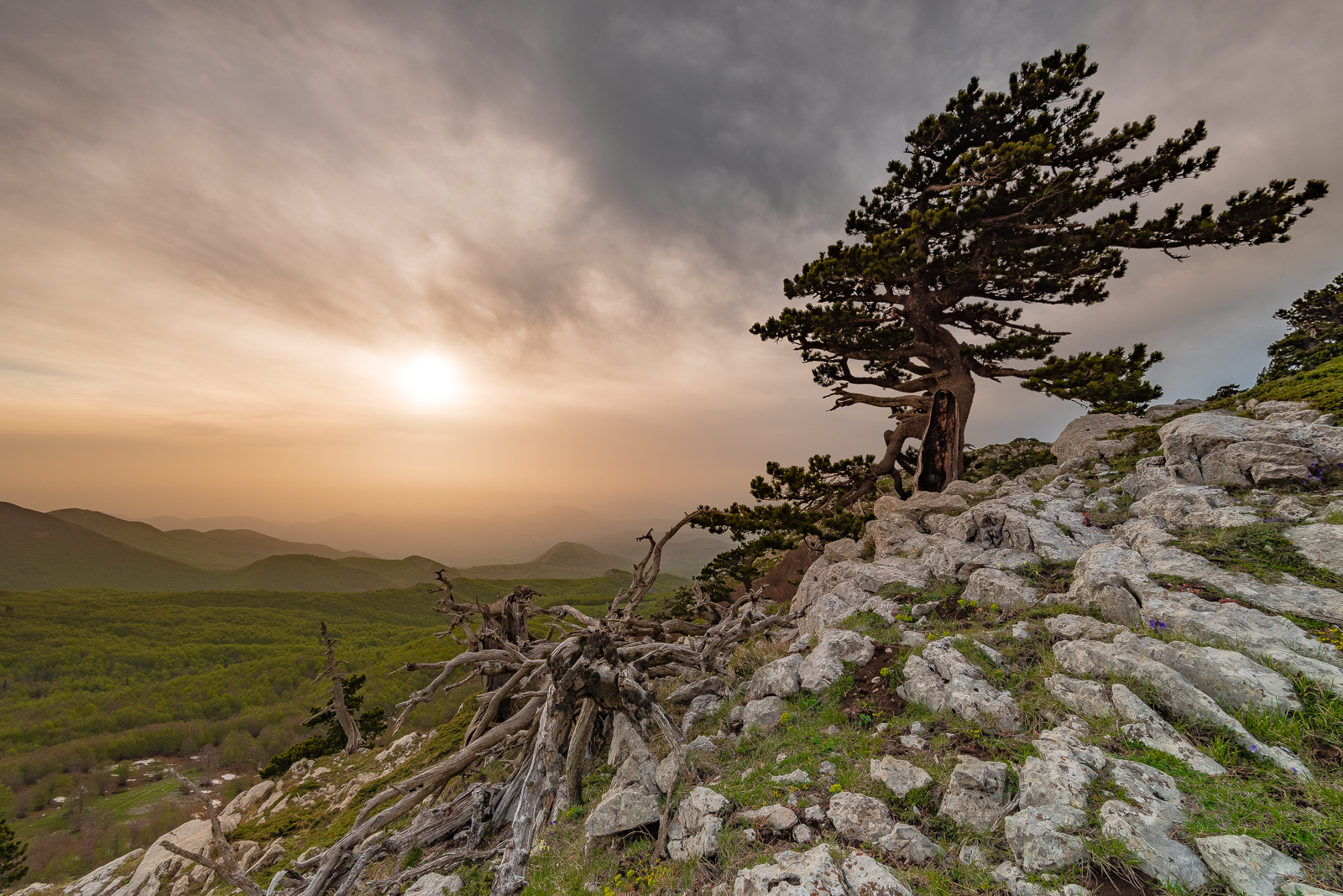Cristo si &egrave; fermato a Eboli (e poi ha fatto Capodanno in Basilicata)