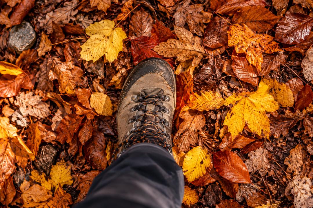 Viaggi d'autunno 2026: 6 idee tra Italia, Europa e mondo