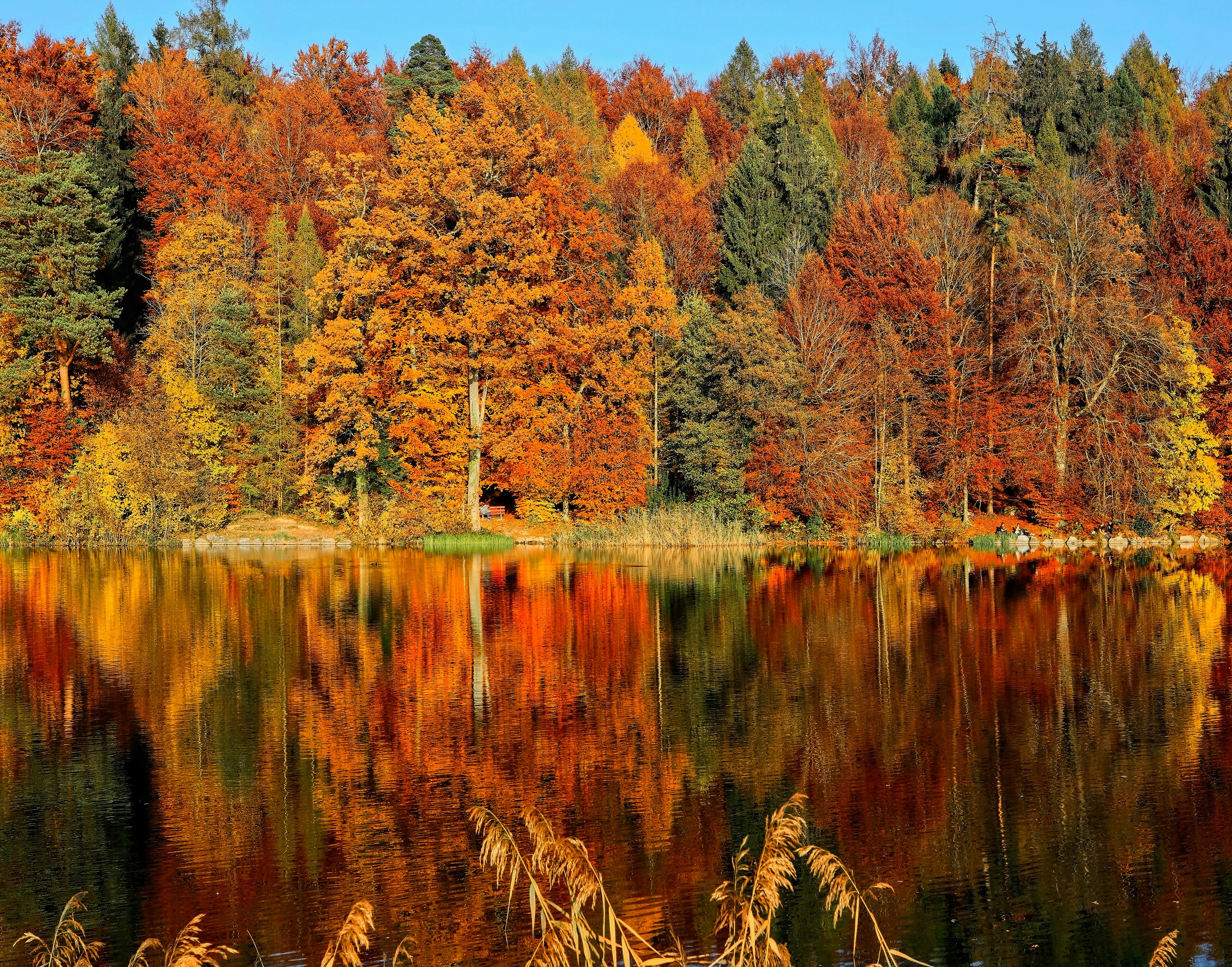 VIAGGI AUTUNNO 2026