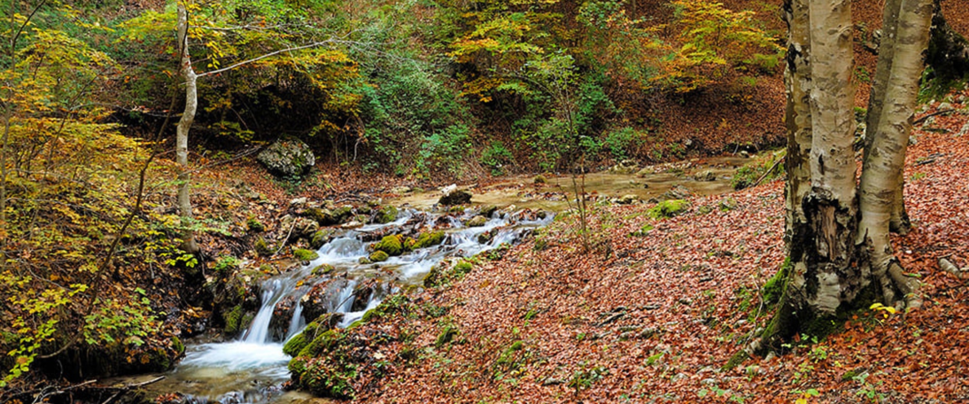 SULLE TRACCE DELL'ANIENE