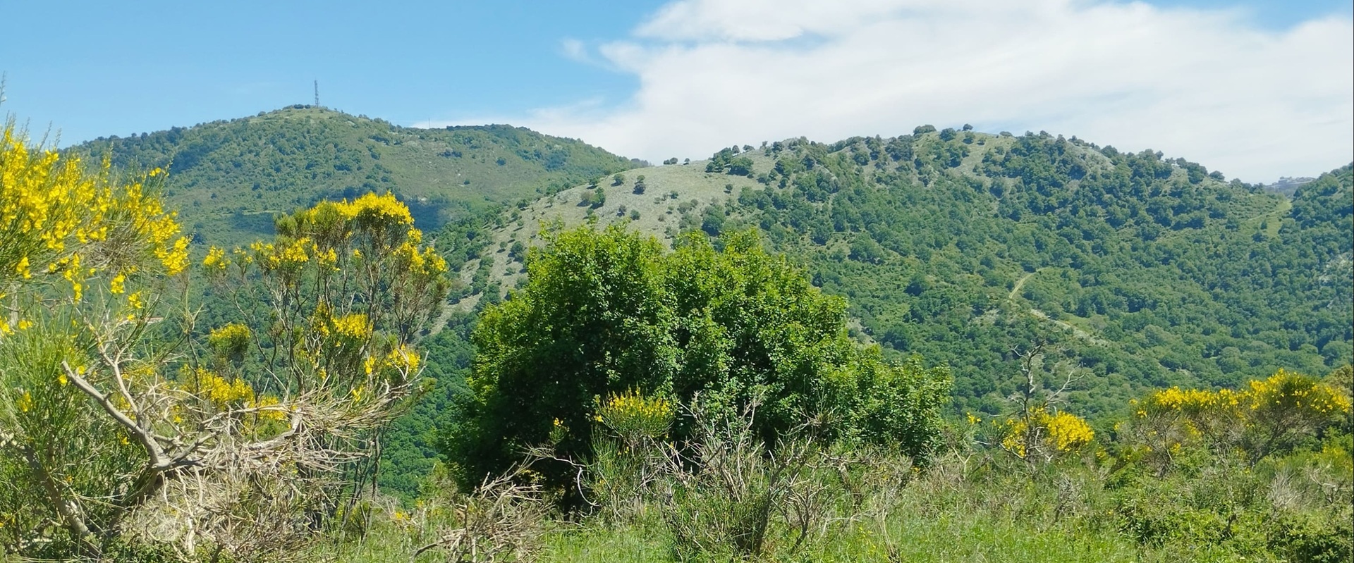 LA SUGGESTIVA VALLE DELLE CANNUCCETTE