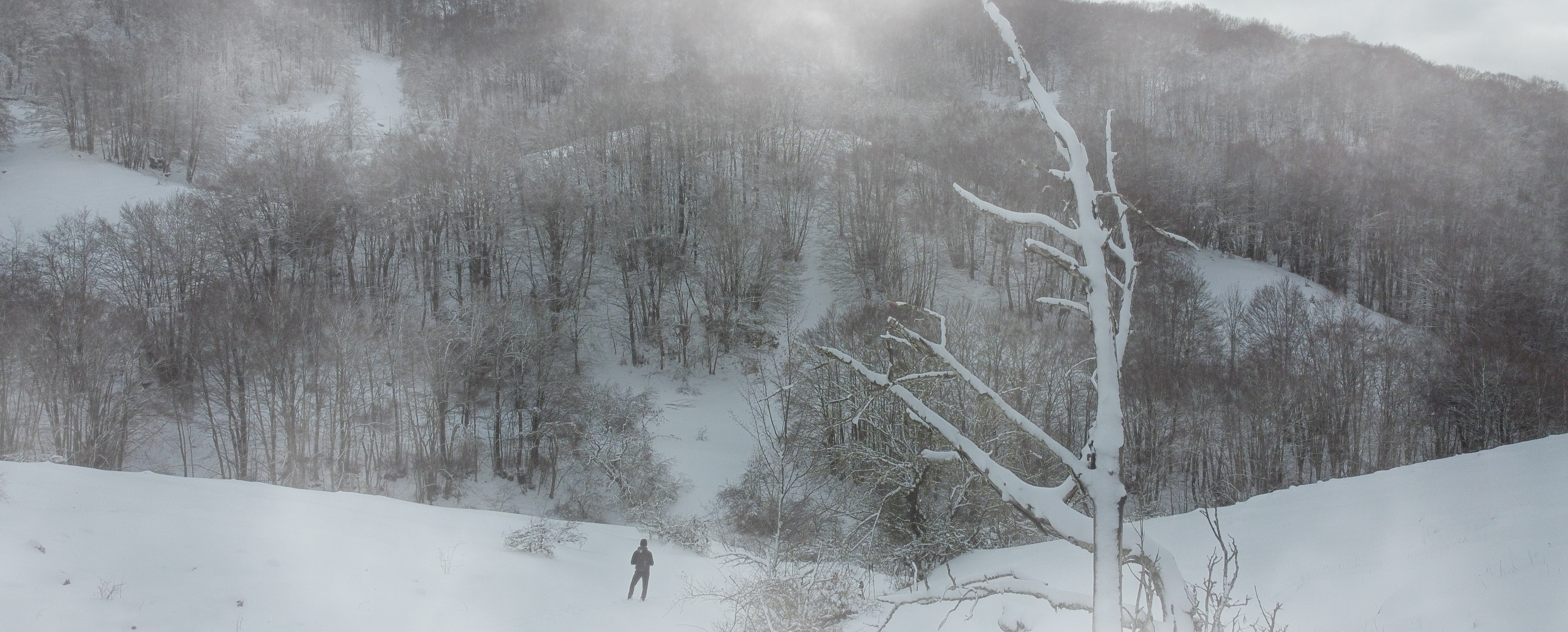 CAMPAEGLI, PASSI E VINO