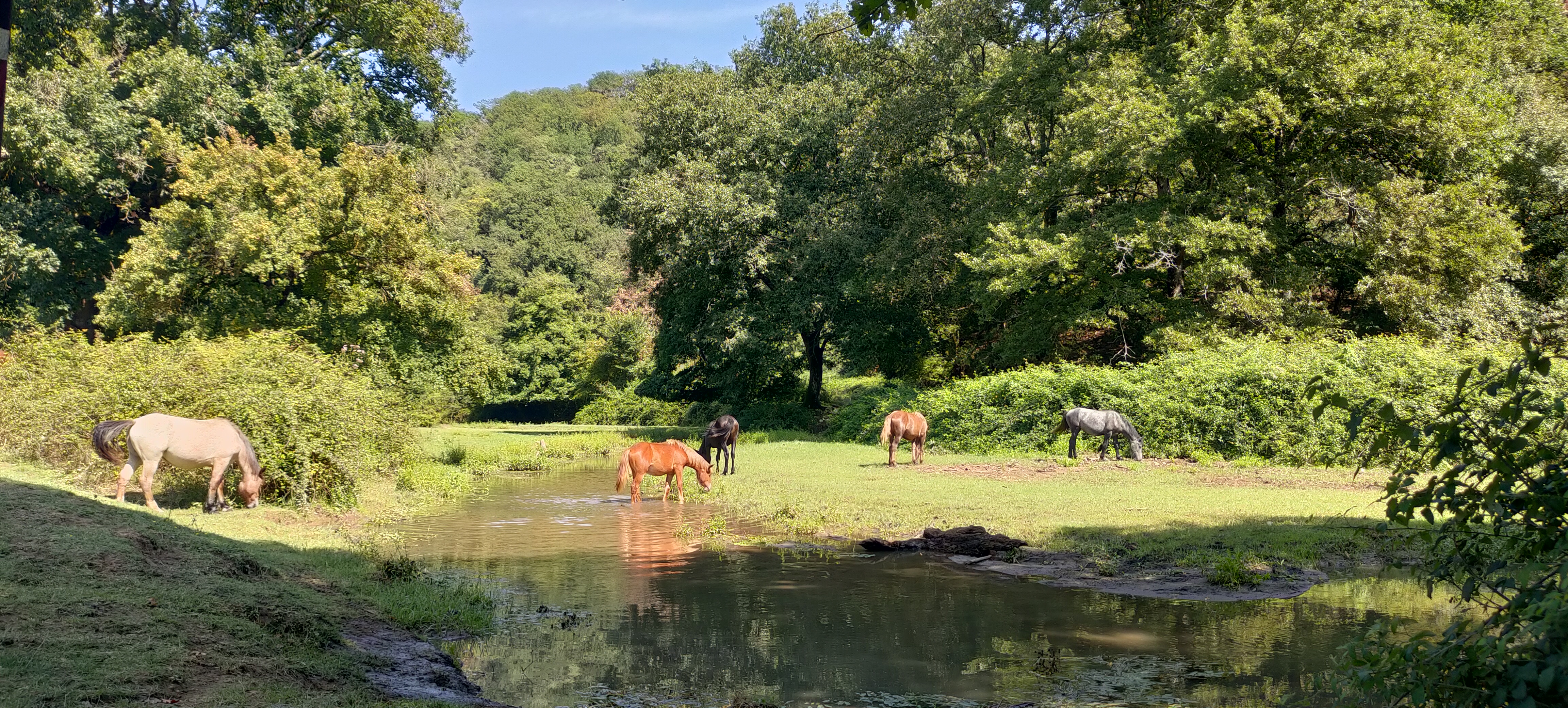 RITMO LENTO NELLE VALLI DEL SORBO