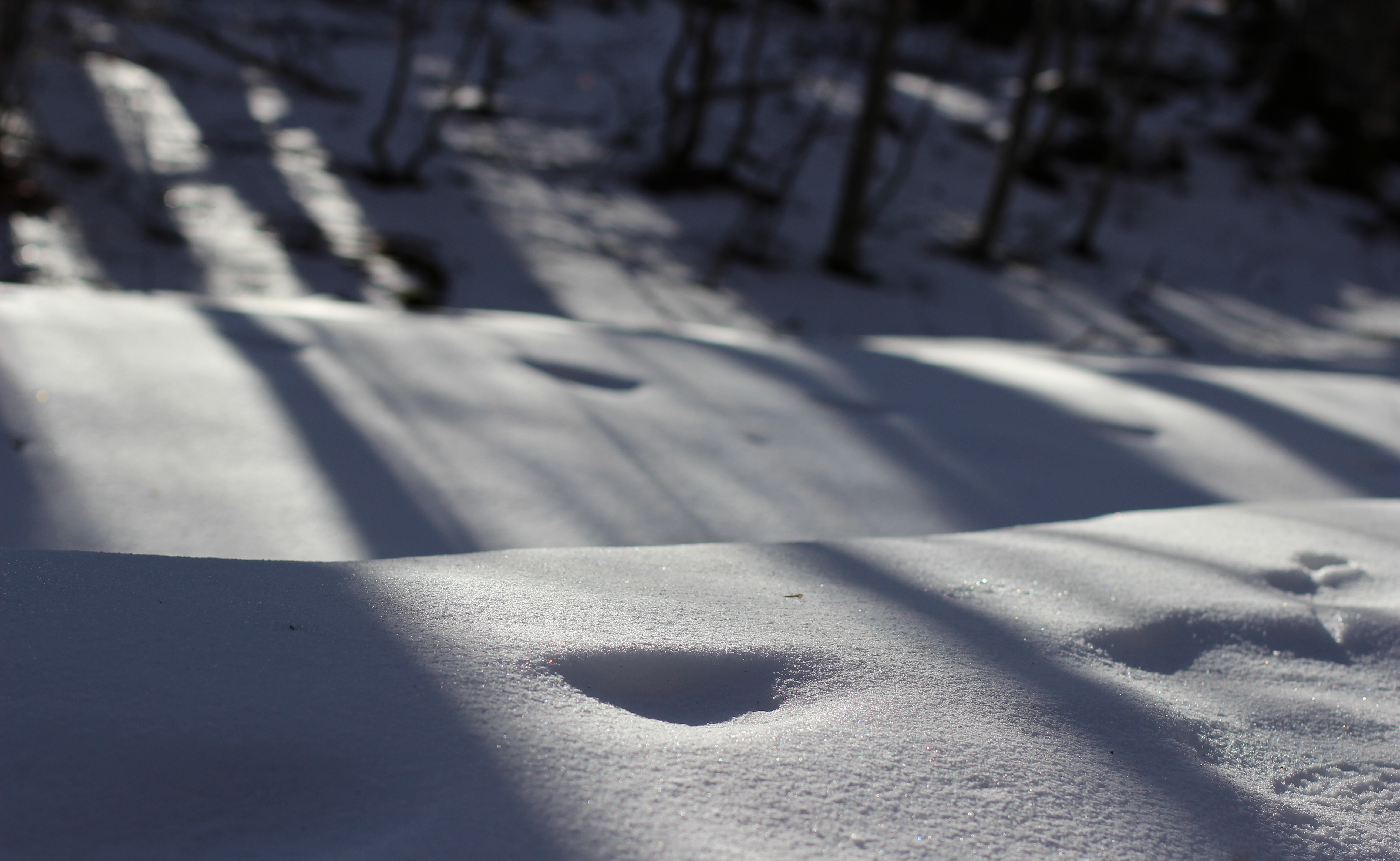 CIASPOLE A CAMPAEGLI