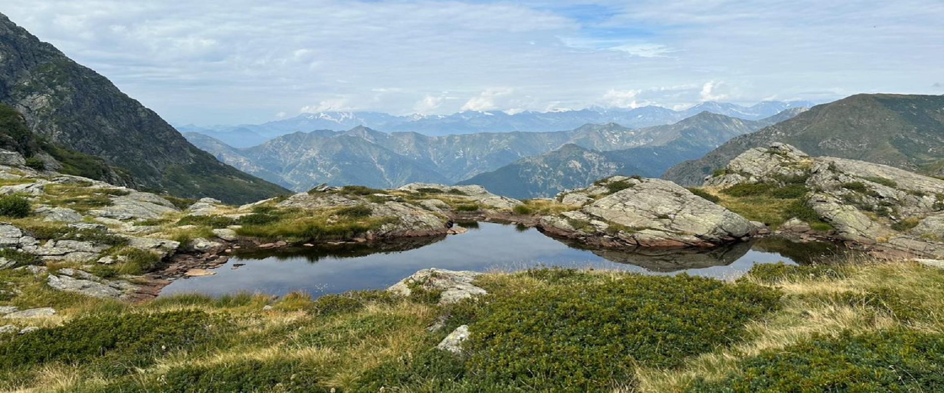 DI BASILISCHI E ALTRI RETTILI LEGGENDARI