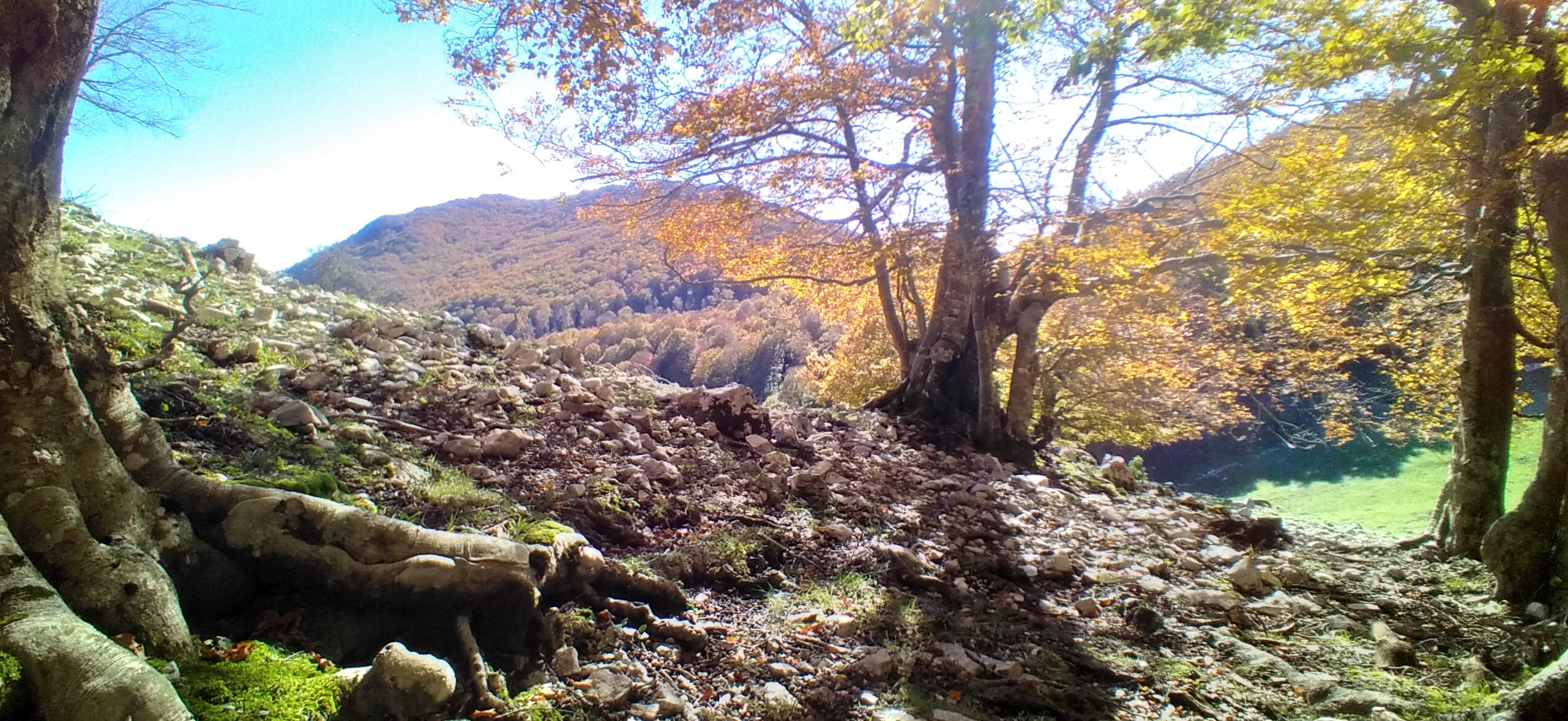 MONTE CAPREO