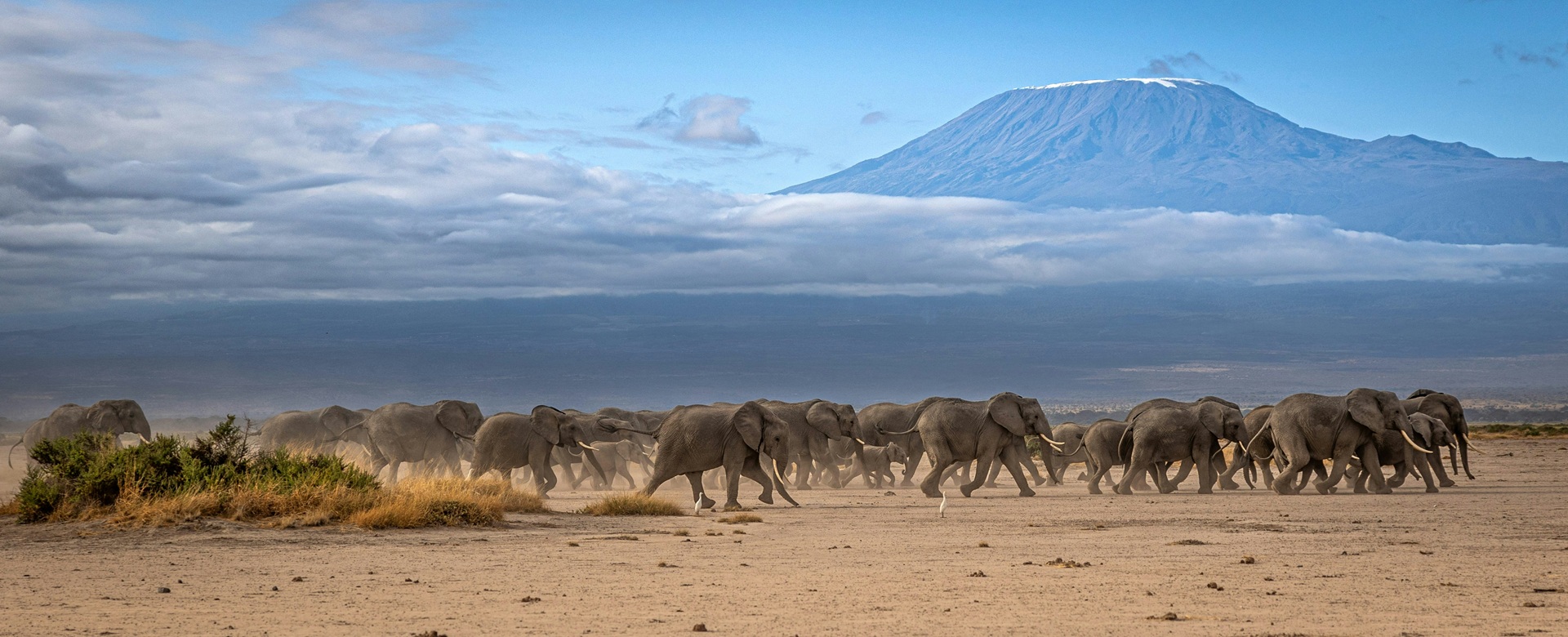 KILIMANGIARO - TREKKING SUL TETTO DELL'AFRICA
