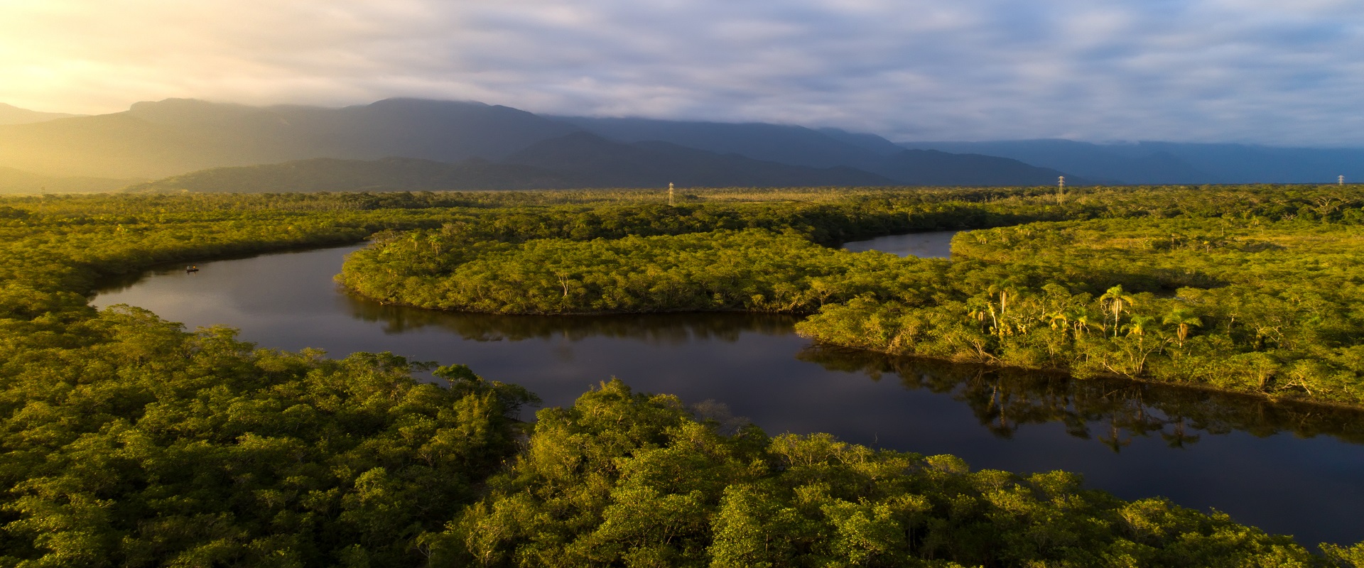 Four Seasons Natura e Cultura | Viaggio in Amazzonia | Foresta pluviale ...