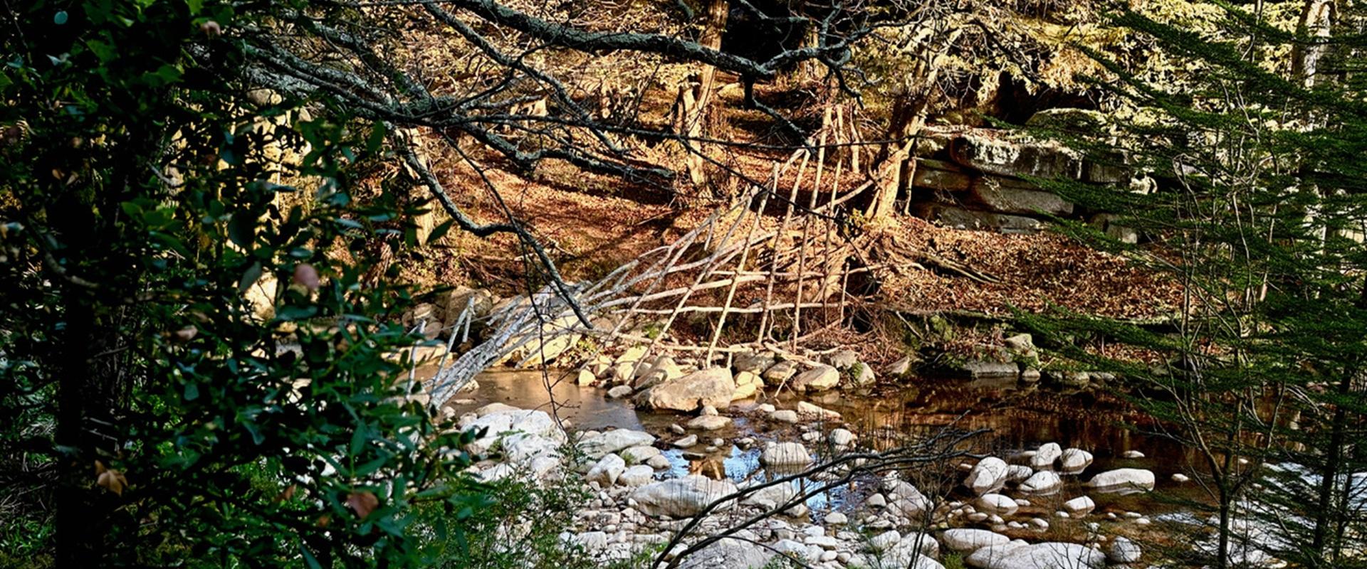 DISEGNARE E ASCOLTARE LA VALLE DI RIO FIUME