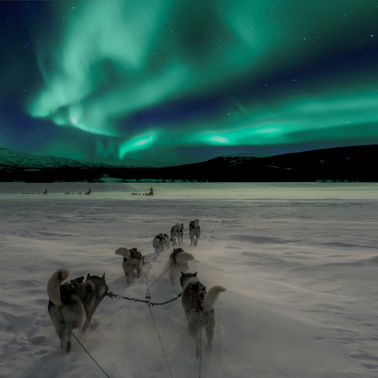 Come vedere l’aurora boreale: i consigli per avvistarla